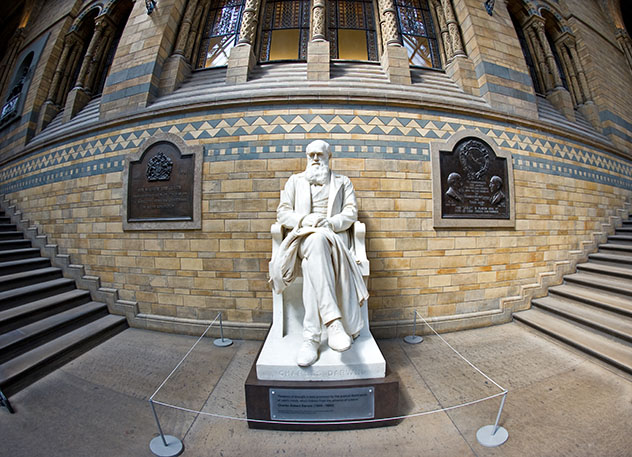 Escultura de Charles Darwin, Museo de Historia Natural, Londres, Inglaterra © pio3 / Shutterstock