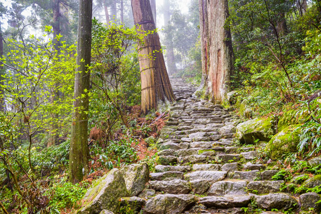Kumano Kodō en la península de Kii, Japón © Sean Pavone / Shutterstock