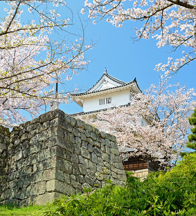 El Castillo de Marugame, Kawaga, Shikoku, Japón, Top 02 de Best in Asia Pacific 2019, los 10 mejores destinos de Asia-Pacífico
