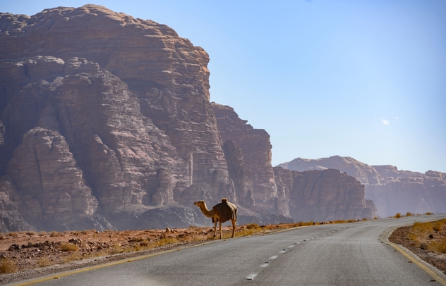 Carretera de Kings, Wadi Rum. © travelwild / Shutterstock