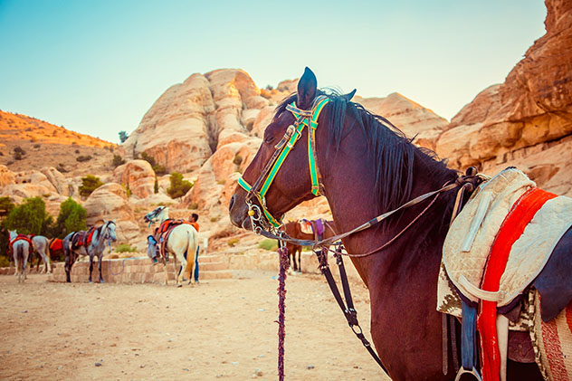 Los desiertos de Jordania ofrecen sesiones de terapia equina en pareja, Jordania © Popova Tetiana / Shutterstock