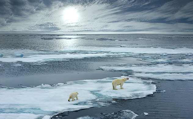 Sueños árticos, un libro para atreverse a conocer el Ártico