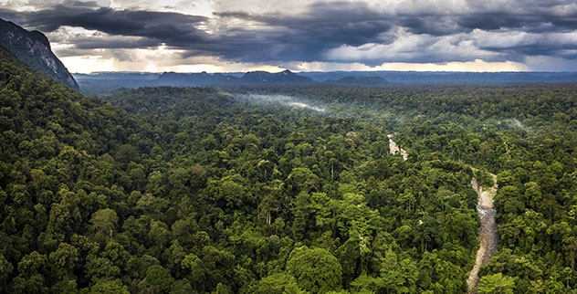 Parque Nacional Gunung Mulu en Malasia