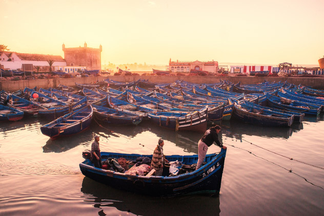 Los pescadores llegan con la pesca del día, que llevan hasta el zoco de pescado de Esauira, ideal para un almuerzo económico, Marruecos © Alper Uke / 500px