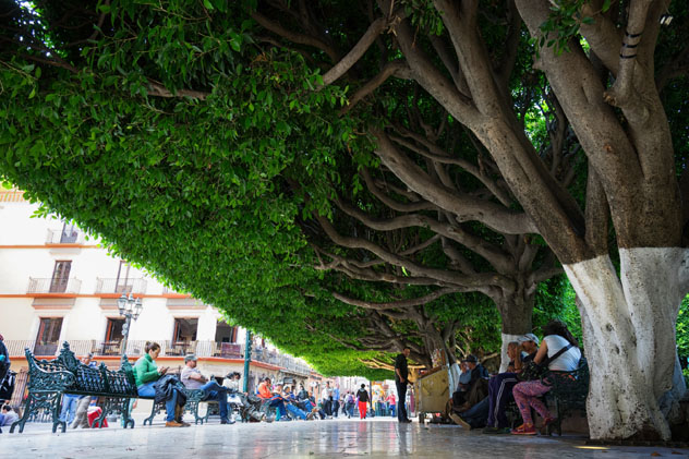 Turistas y lugareños se relajan bajo los árboles de El Jardín de la Union, Guanajuato, México © Barna Tanko/Shutterstock