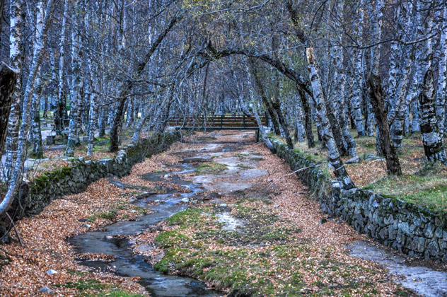 Río Zêzere, Serra da Estrela, Portugal © Paulo Amaral / Shutterstock