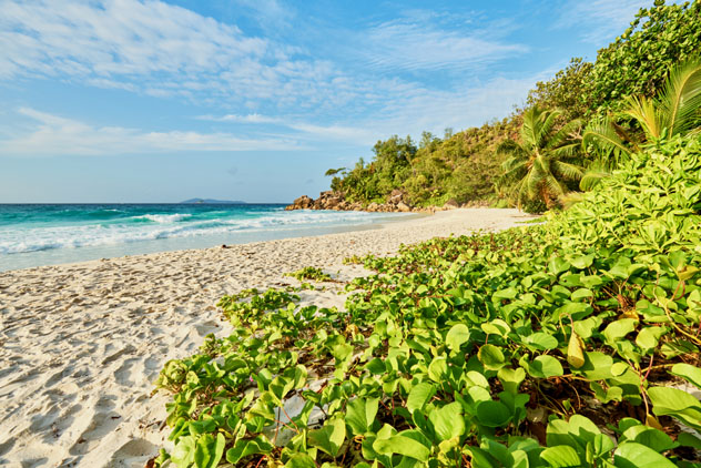 Playa Anse Gorgette, isla Praslin, Seychelles © LRPhotographies / Shutterstock