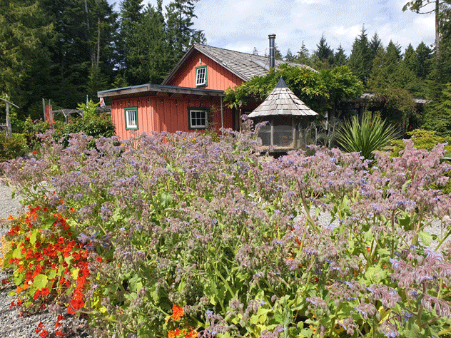 El Naa’Waya’Sum Coastal Indigenous Garden en la isla de Vancouver combinan plantas nativas con la cultura de las Primeras Naciones. © Pamela Atkinson / Shutterstock