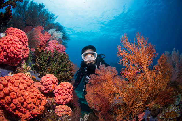 Buceando en los arrecifes de Raja Ampat. © Tum3000/Shutterstock