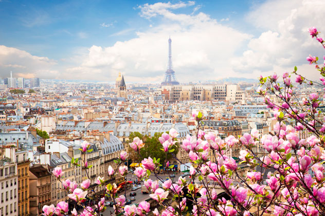 Perfil urbano de París con la Torre Eiffel y un magnolio en flor. Neirfy / Shutterstock