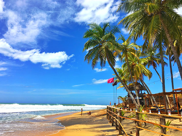 Palmeras en Surfers Point, bahía de Arugam, Sri Lanka © Bambara / Shutterstock