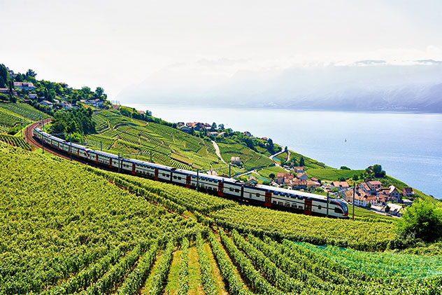 Trenes y rutas excursionistas atraviesan los pintorescos viñedos de Lavaux, Vevey, Suiza © Roman Babakin / Shutterstock