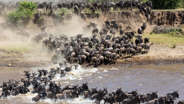Gran Migración en el Serengueti, Tanzania © Claudia Uribe / Getty Images