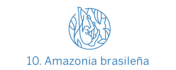 Amazonia brasileña, región Top 10 Best in Travel 2020