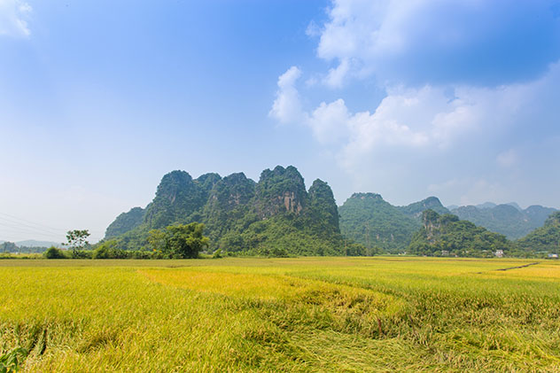 Valles de arrozales en Mai Chau, Vietnam © The South Wind / Shutterstock