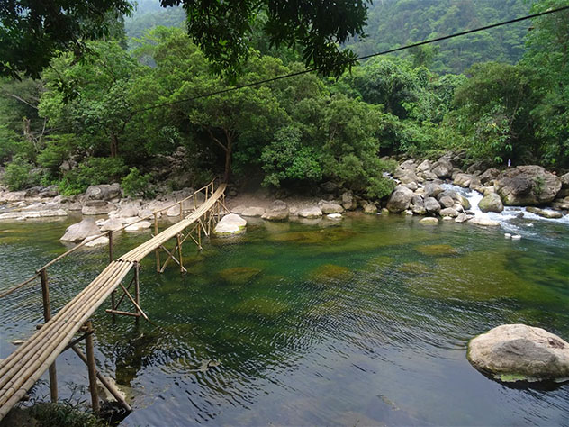 Puente de bambú en el Nuoc Mooc Ecotrail, Parque Nacional Phong Nha-Ke Bang, centro de Vietnam, Top 06 de Best in Asia Pacific 2019, los 10 mejores destinos de Asia-Pacífico