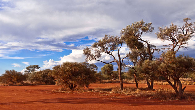 'Outback' © DavidFlint4 - www.flickr.com/photos/davidflint4/7109568417