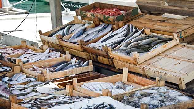 Pescado fresco en una parada del mercado de Bodrum