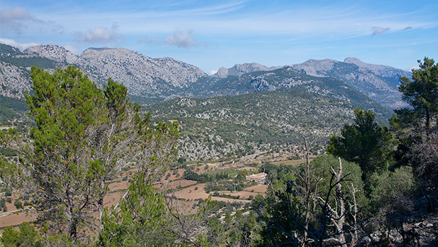 Valle Orient (Mallorca)