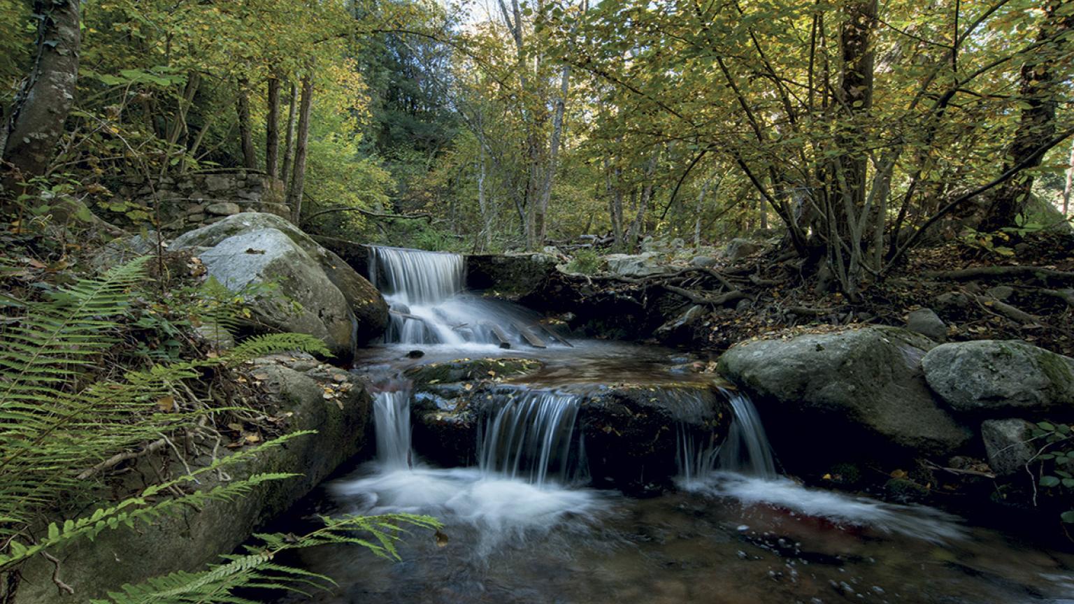 Parque Natural del Montseny, Barcelona, Catalunya, España