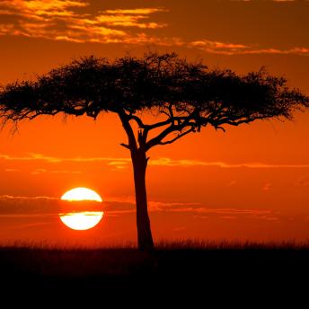 Narok, Valle del Rif, Kenia