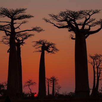 Morondava, Madagascar