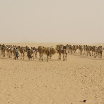 Desierto del Sáhara, Mauritania