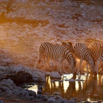 Namibia