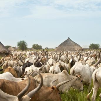 Parque Nacional Boma, Sudán del Sur