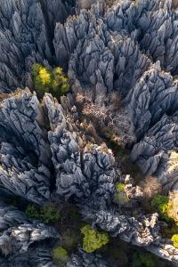 Tsingy de Bemaraha, Madagascar