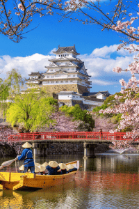 Navegando entre flores de cerezo y castillo en Himeji, Japón.