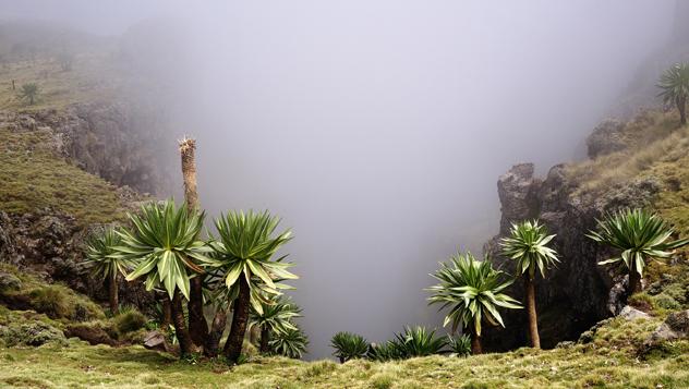 Montañas Simien, Etiopía