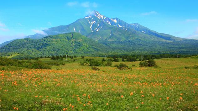 Las empinadas laderas volcánicas del monte Rishiri se alzan sobre un campo de flores silvestres próximo a la costa de Hokkaidō, Japón