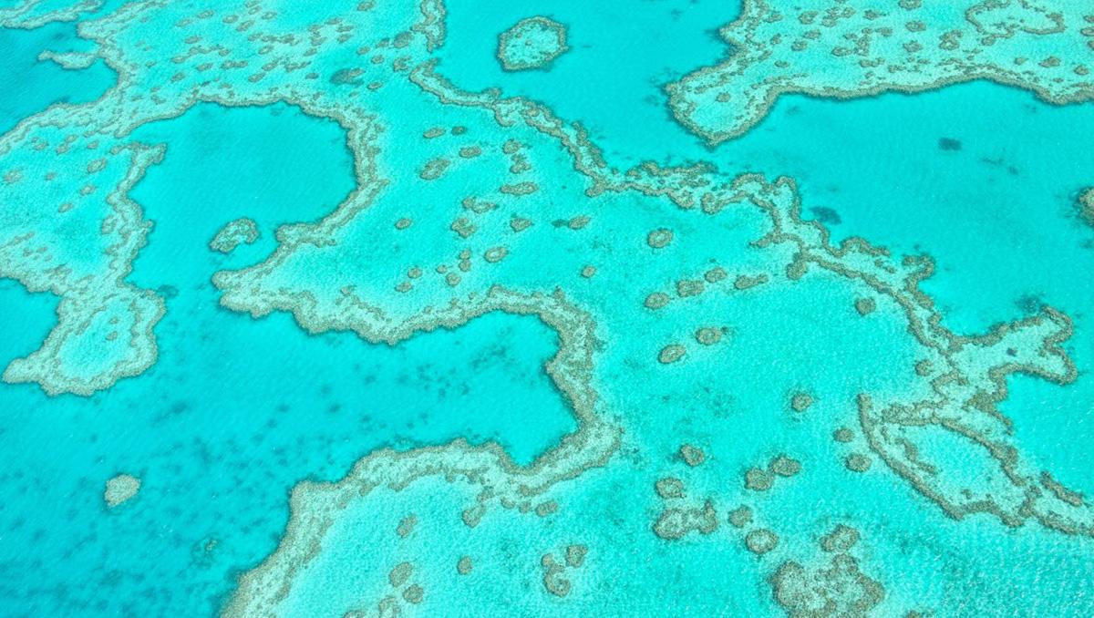 La Gran Barrera de Coral vista desde el cielo cerca de las islas Whitsunday, Australia
