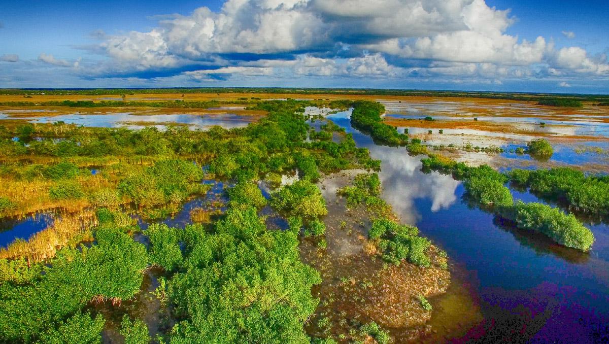Everglades National Park, Florida, costa este de EE UU