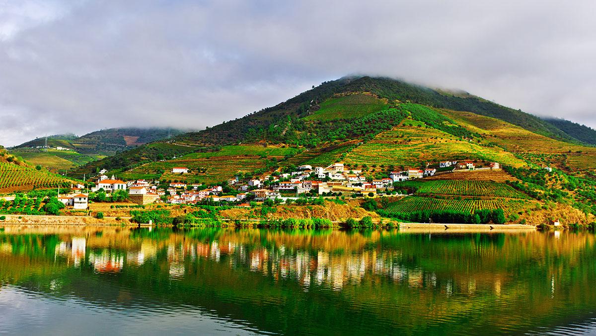 Viñedos del valle del Douro, Portugal