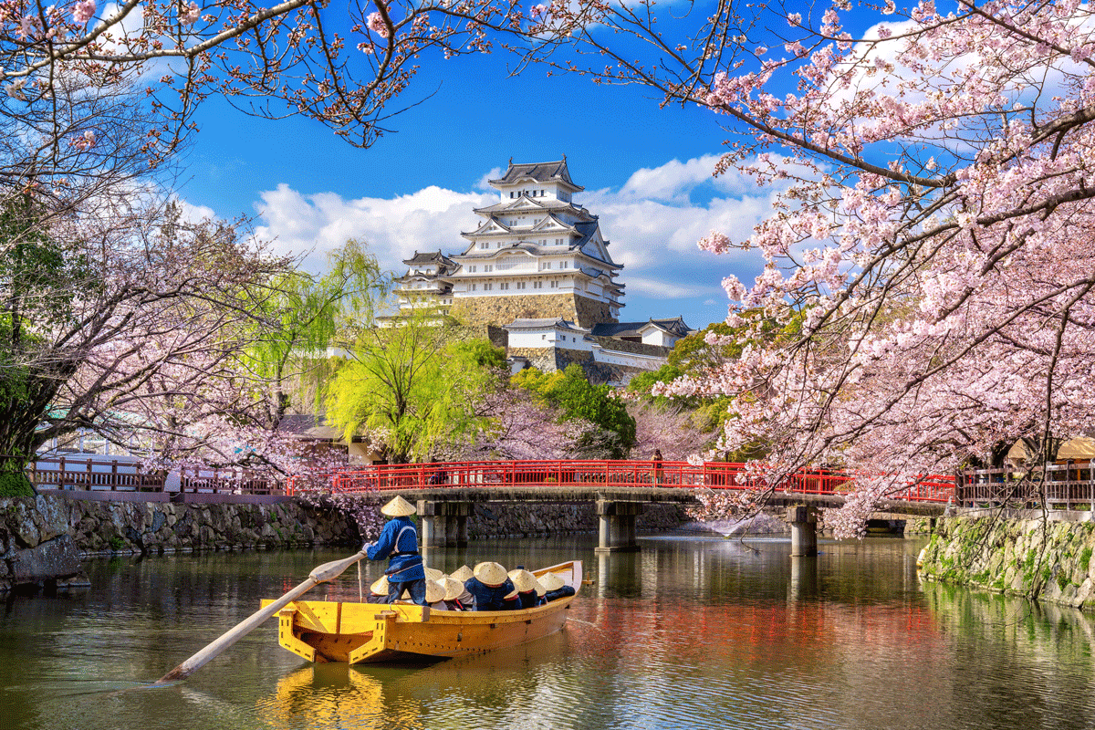Navegando entre flores de cerezo y castillo en Himeji, Japón.