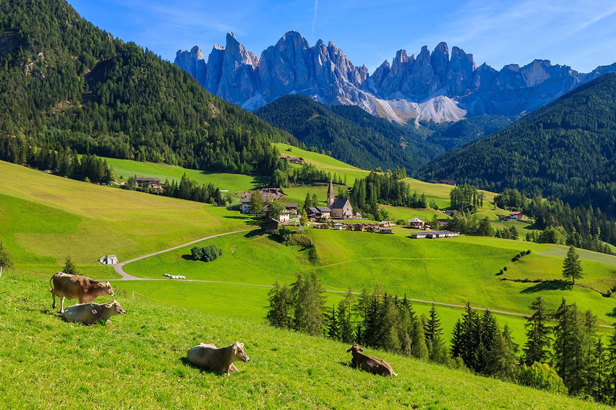 Monarca Desventaja trompeta Viajar a Dolomitas - Lonely Planet