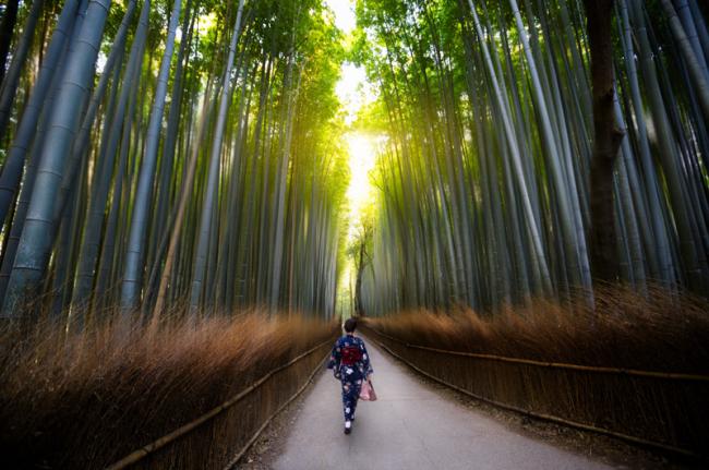 Bosque de bambú de Arashiyama, Japón