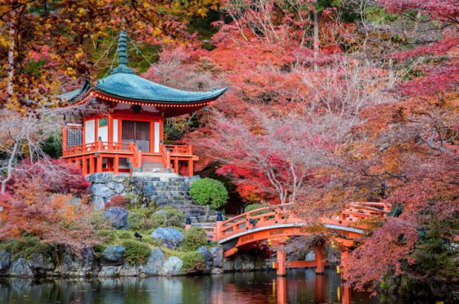 Templos y jardines, Kioto, Japón