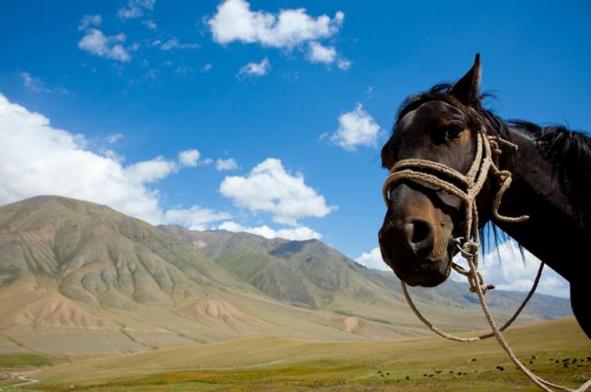Paseos a caballo, Kirguistán