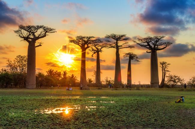 Puesta de sol en Allée des Baobabs, Madagascar