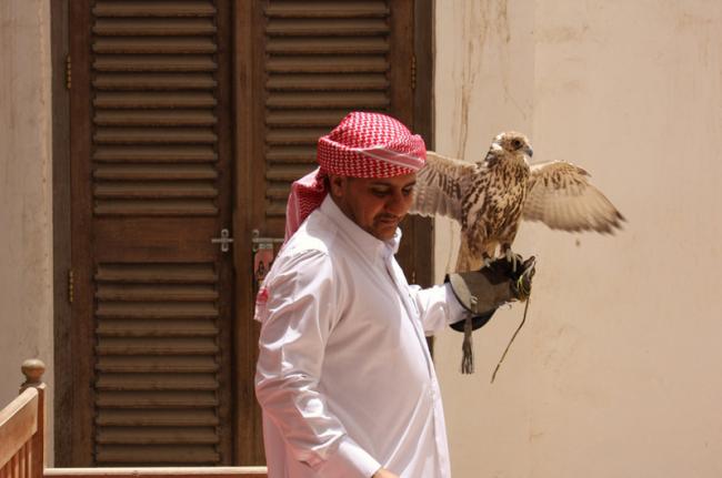 Zoco de los halcones, Qatar