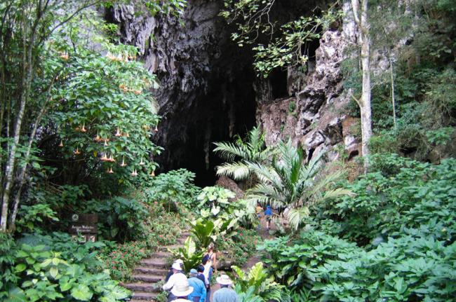 Cueva del Guácharo, Venezuela