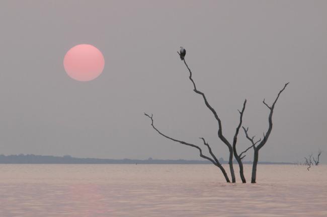 Lago Kariba, Zambia