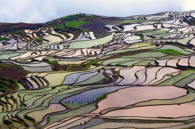Bancales de arroz de Yuányáng, China