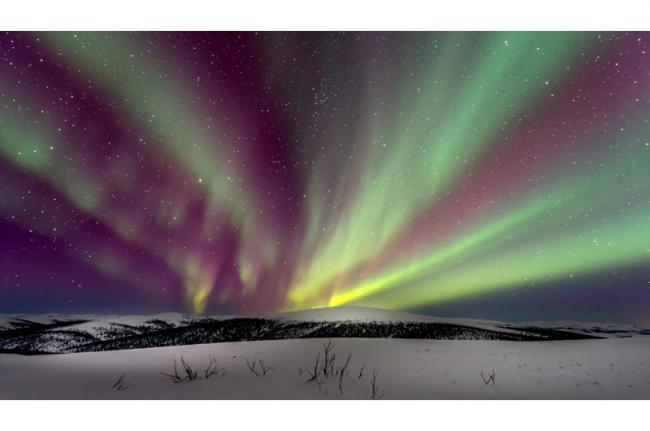 Aurora boreal cerca de Fairbanks, Alaska, EE UU