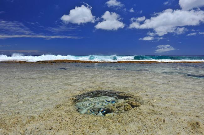 Piscina y mar de ‘Atiu, Islas Cook