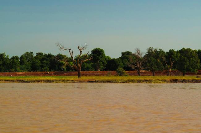 Rio Níger, Níger