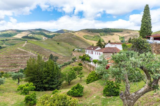Viñedos de Alto Douro, Portugal